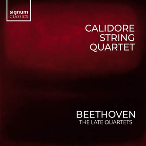 Beethoven quartets calidore signum