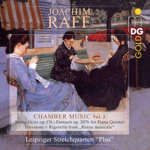 Raff Chamber Music Vol3 MDG30722732