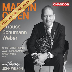 strauss horn chandos