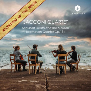 sacconi quartet orchid