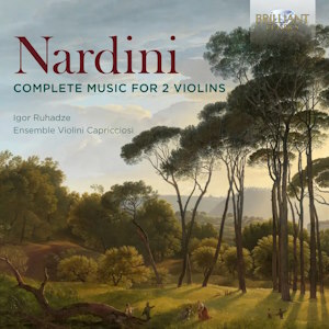 Nardini violins 96873