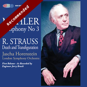 mahler horenstein symphony hdtt