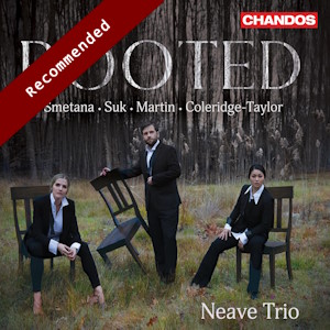 rooted trios chandos