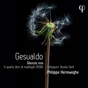 Gesualdo Silenzio Mio Collegium Vocale Ghent Herreweghe Phi LPH043