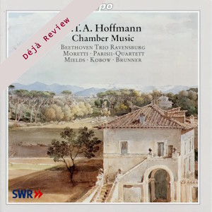 Hoffmann chamber cpo9993092