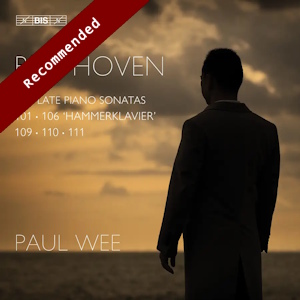 Beethoven sonatas BIS2765