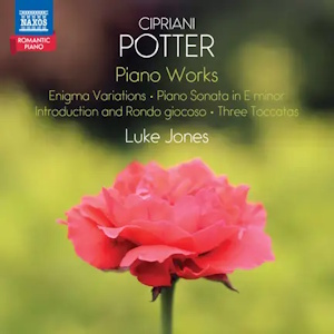 potter pianoworks naxos